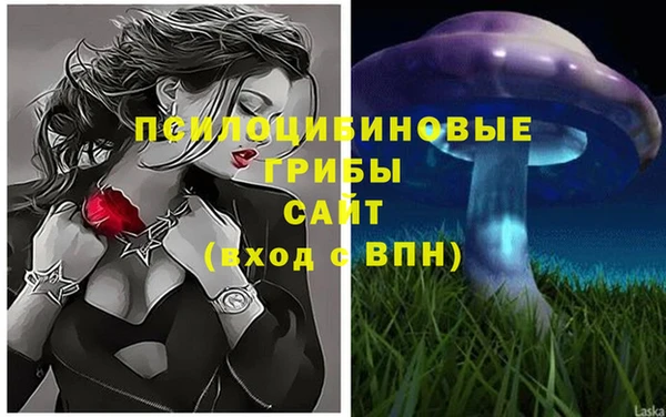 меф Арсеньев