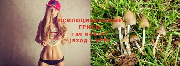 гидропоника Аркадак