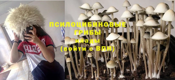 гидропоника Аркадак