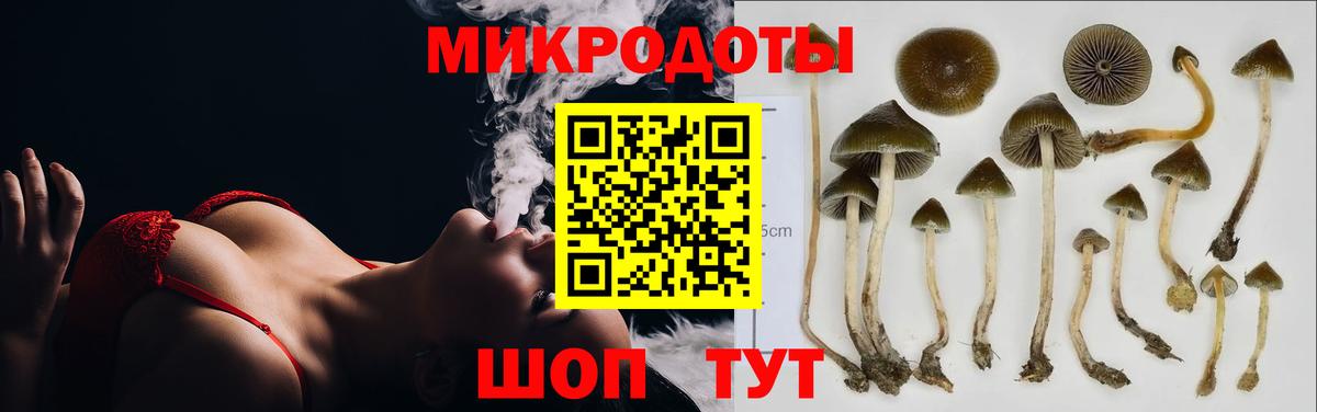 Псилоцибиновые грибы Psilocybine cubensis Южно-Сахалинск