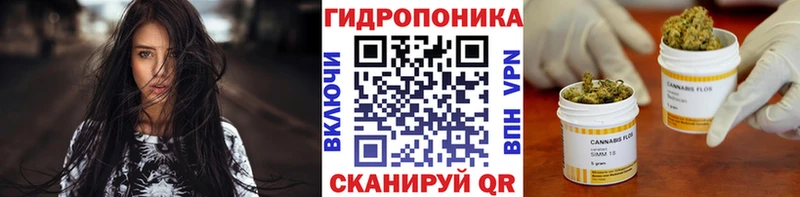 OMG как войти это как зайти Бошки марихуана сатива Южно-Сахалинск